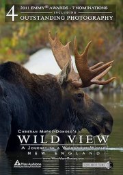Wild View: A Journey to a Wondrous World