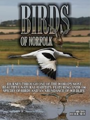 Birds of Norfolk: A Bird Watchers Dream
