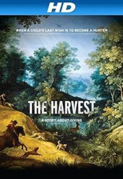 The Harvest