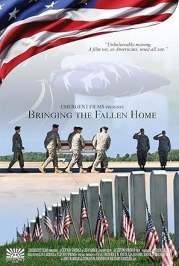 Bringing the Fallen Home