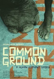Common Ground