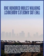One Hundred Mules Walking the Los Angeles Aqueduct