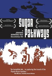 Sugar Pathways
