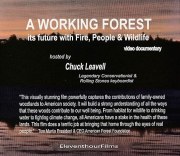 A Working Forest It's Future with Fire, People & Wildlife
