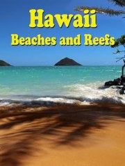 Hawaii Beaches and Reefs