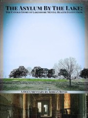 The Asylum by the Lake