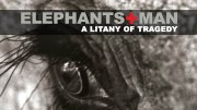 Elephants and Man: A Litany of Tragedy