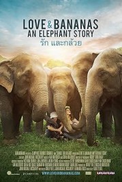 Love & Bananas: An Elephant Story