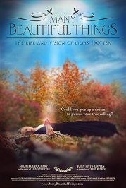 Many Beautiful Things