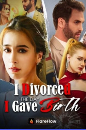 I Divorced the Day I Gave Birth