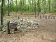 Henry David Thoreau: Surveyor of the Soul