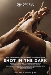Shot in the Dark