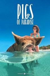 Pigs Of Paradise