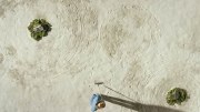 Zen Garden