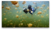Palau: Return to Paradise