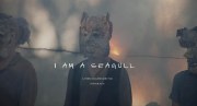 I Am a Seagull