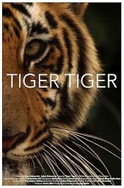Tiger Tiger