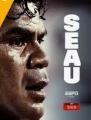 Seau