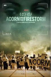 ACORN and the Firestorm