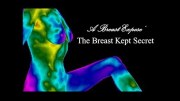 A Breast Expose: The Breast Kept Secret