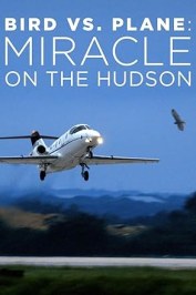 Bird vs. Plane: Miracle on the Hudson