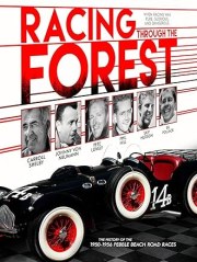 Racing Through the Forest