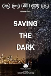 Saving the Dark