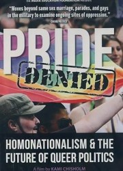 Pride Denied: Homonationalism and the Future of Queer Politics