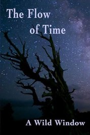 Wild Window: Flow of Time