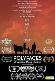 Polyfaces