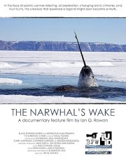 The Narwhal's Wake