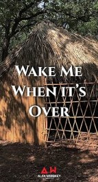 Wake Me When It's Over
