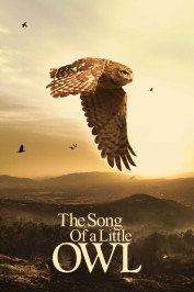 The Song of the Little Owl