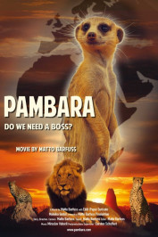 Pambara - Brauchen wir einen Boss?