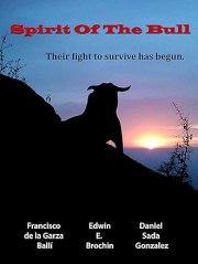 Spirit of the Bull