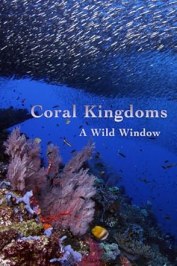 Wild Window: Coral Kingdoms