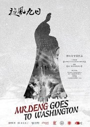 Mr. Deng Goes to Washington