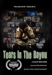 Tears in the Bayou