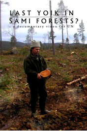 Last Yoik in Saami Forests?