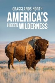 Grasslands: North America's Hidden Wilderness
