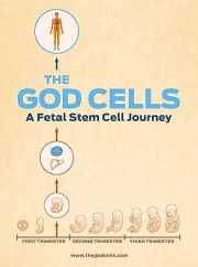The God Cells