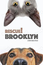 Rescue! Brooklyn