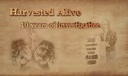 Harvested Alive - 10 Years of Investigation