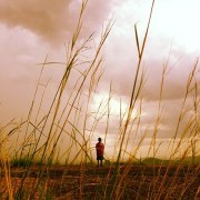 Road to Hope