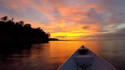 Amazon Arising: Joy in the Jungle