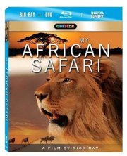 My African Safari