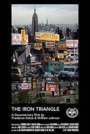 The Iron Triangle: Willets Point and the Remaking of New York