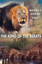 Lions: The King of the Beasts
