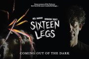 Sixteen Legs