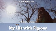 My Past Life with Pigeons